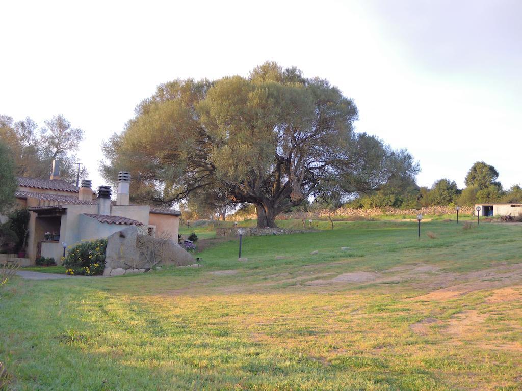 Agriturismo Candela Arzachena Bagian luar foto